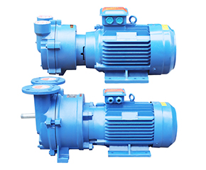 2BV水(shuǐ)環真空泵(beng) 直連式防(fang)爆真空泵(beng)