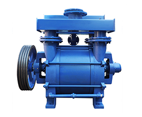 2BE水(shui)環真空泵(beng)